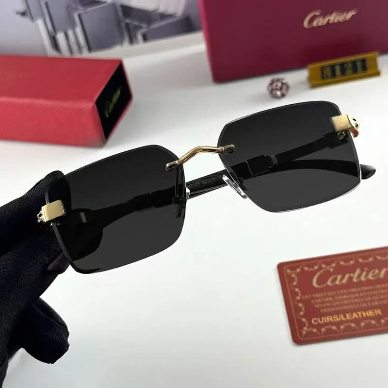 Cartier Soleil Blanc Black Gold Sunglasses