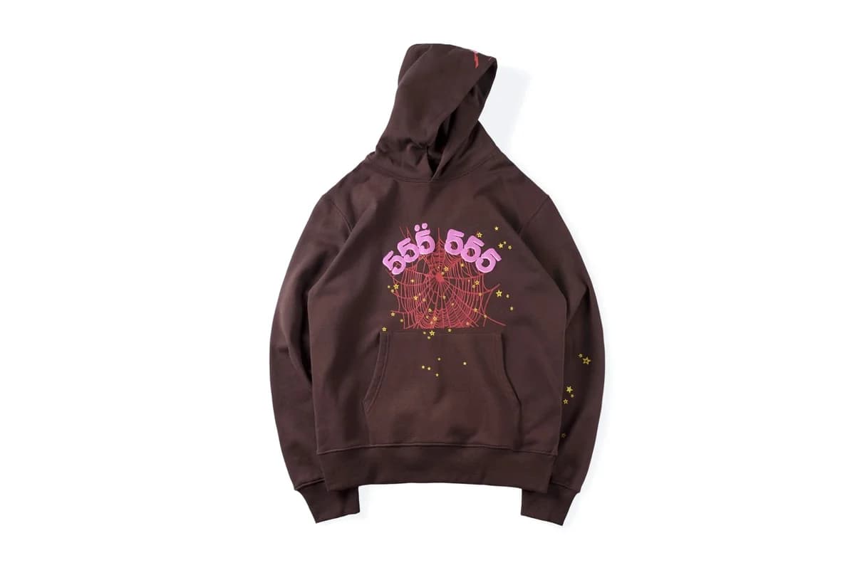 Hoodie with Spider Web Print in Brown